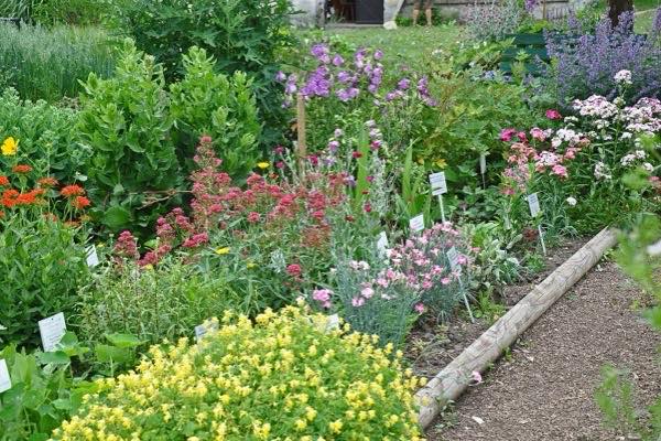 Musik und Geschichten im Kräutergarten Inzigkofen