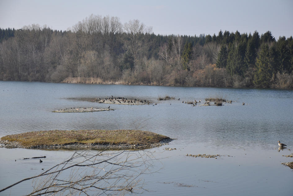 Inseln im Naturschutzgebiet Vogelsee